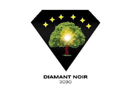 Diamant Noir